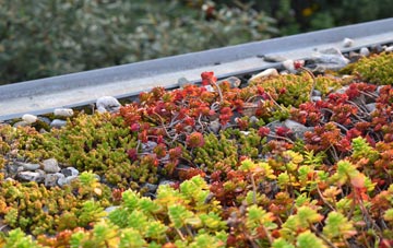 the cost of Rhosybol green roof installation