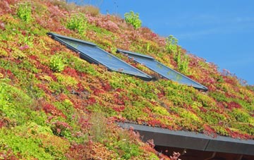 Rhosybol living roof systems