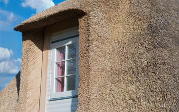 Rhosybol thatch roof disadvantages